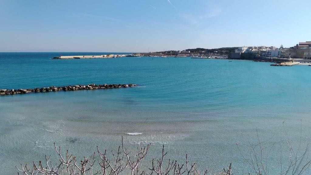 La Terrazza Sul Castello Διαμέρισμα Palmariggi Εξωτερικό φωτογραφία