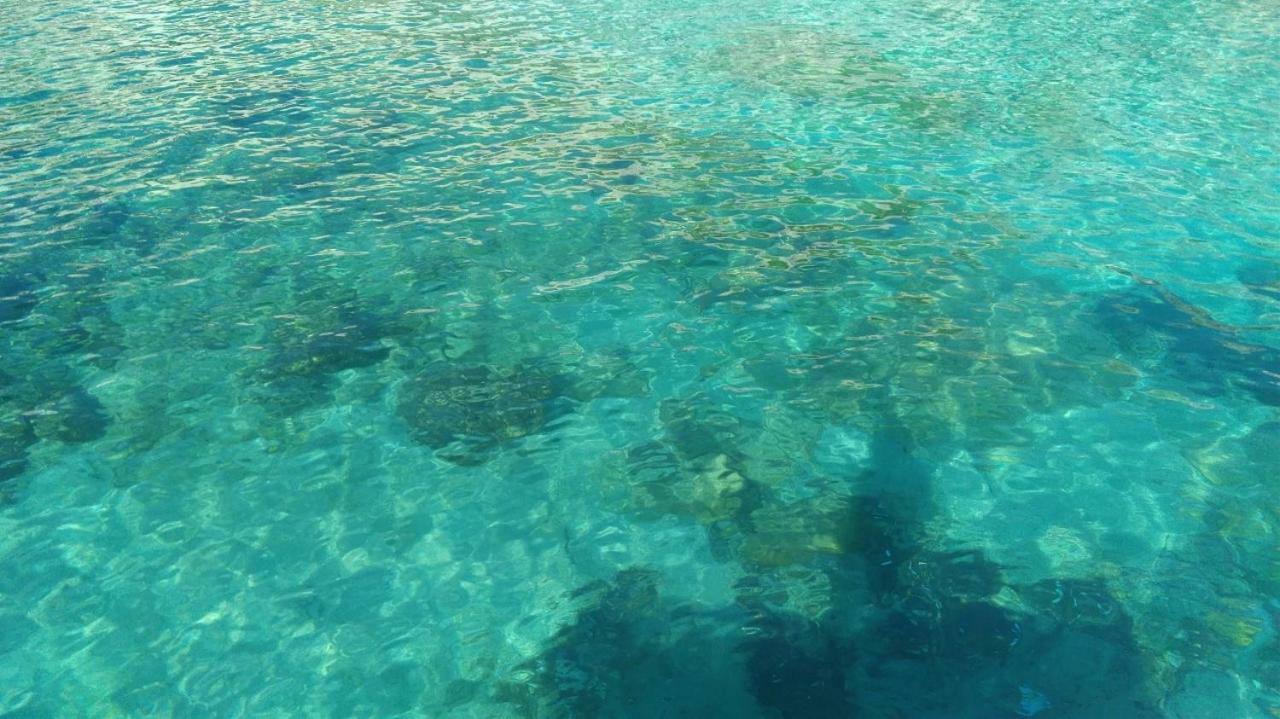 La Terrazza Sul Castello Διαμέρισμα Palmariggi Εξωτερικό φωτογραφία