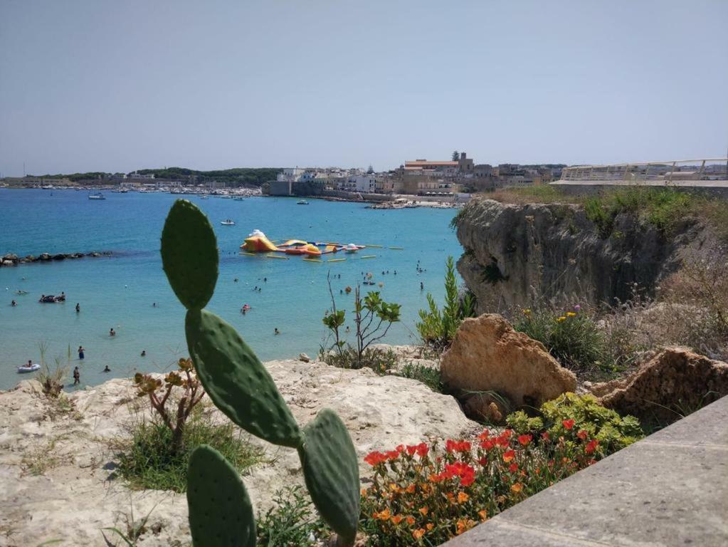 La Terrazza Sul Castello Διαμέρισμα Palmariggi Εξωτερικό φωτογραφία